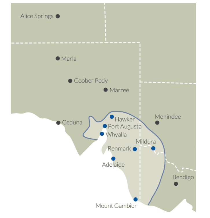 Delivery Map Team Poly TP